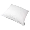 Polydaun Hoofdkussen First Comfort 900 Gram - 60x70 Cm